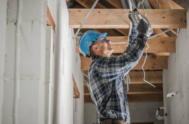 Best Affordable Electrician  in Williston Highlands, FL